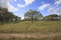 high fence
