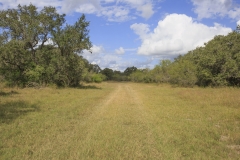 land