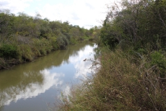 medio creek
