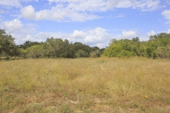 open pasture