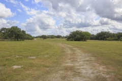 pasture