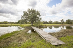 pond 2