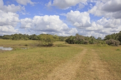 pond 3