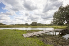 pond