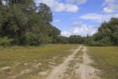 roads