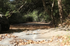 Terryville Ranch 10- Dry Creek