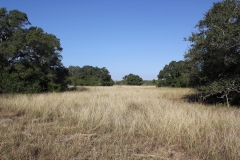 Terryville Ranch 12