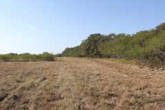 Terryville Ranch 13