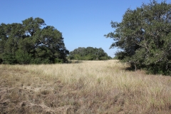 Terryville Ranch 14