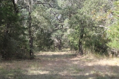 Terryville Ranch 15