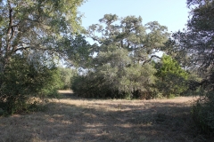 Terryville Ranch 16