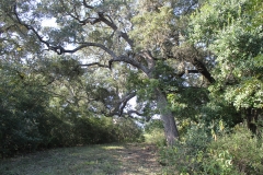 Terryville Ranch 17