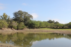 Terryville Ranch 18