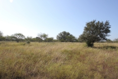 Terryville Ranch 19