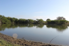 Terryville Ranch 2 - Front Tank