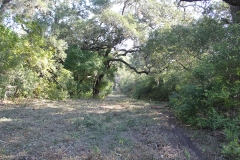 Terryville Ranch 20