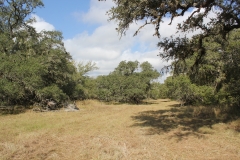 Terryville Ranch 4