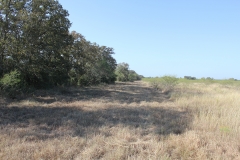 Terryville Ranch 5