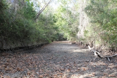 Terryville Ranch 6-Dry Creek Bottom