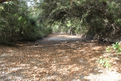 Terryville Ranch 7- Dry Creek