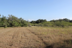Terryville Ranch 8