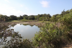 Terryville Ranch 9