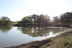 Terryville Ranch Front Tank 1