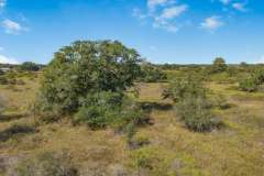 DJI_20251028010228_0123_D