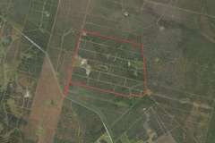 aerial-pic