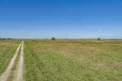 DJI_0042