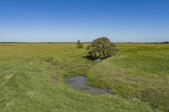 DJI_0104