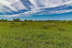 MG_0145