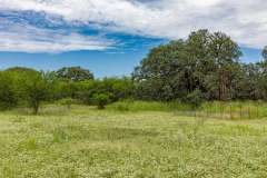 MG_0160