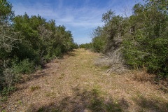 IMG_9008