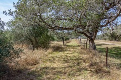 IMG_9019