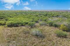 DJI_20251028131607_0313_D