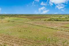 DJI_20251029010052_0222_D