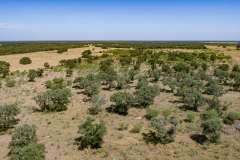 DJI_0005