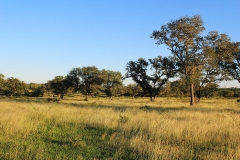 IMG_0892 - Copy