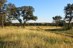 chisholm hill contrast