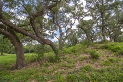 mound