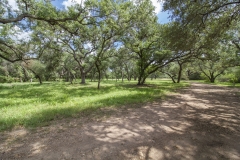 oaks 2