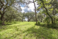 oaks 6