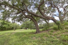 oaks at mound