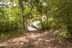river view (2)