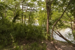 river view