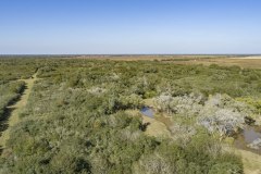 DJI_0021