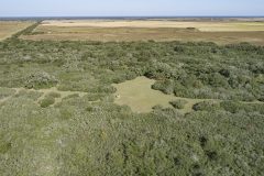 DJI_0025