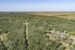 DJI_0029