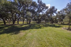 IMG_7274